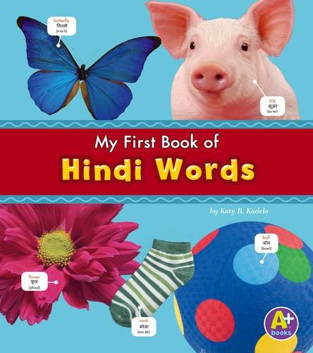 9781474706872: Hindi Words (Bilingual Picture Dictionaries)