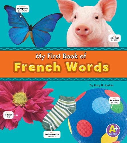 Beispielbild fr French Words (Bilingual Picture Dictionaries) zum Verkauf von WorldofBooks