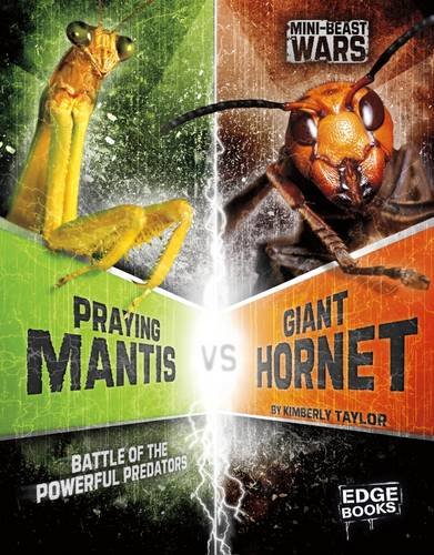 Beispielbild fr Praying Mantis vs Giant Hornet: Battle of the Powerful Predators (Mini-Beast Wars) (Bug Wars) zum Verkauf von WorldofBooks