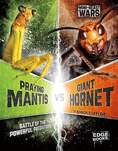 Beispielbild fr Praying Mantis vs Giant Hornet: Battle of the Powerful Predators (Edge Books: Mini-beast Wars) (Bug Wars) zum Verkauf von WorldofBooks