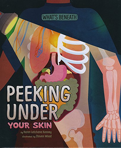 9781474713061: Peeking Under Your Skin (Nonfiction Picture Books: What's Beneath)