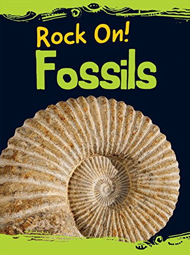 9781474714051: Fossils (Rock On!)