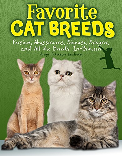 Imagen de archivo de Favourite Cat Breeds : Persians, Abyssinians, Siamese, Sphynx, and All the Breeds In-Between a la venta por Better World Books Ltd
