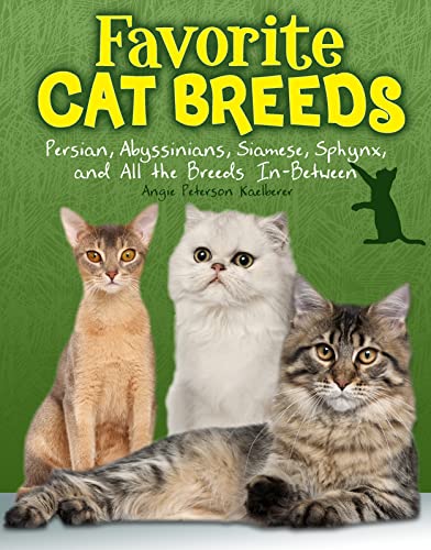 Stock image for Favourite Cat Breeds : Persians, Abyssinians, Siamese, Sphynx, and All the Breeds In-Between for sale by Better World Books Ltd