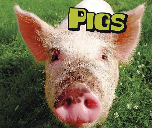 Stock image for Pigs for sale by Better World Books Ltd