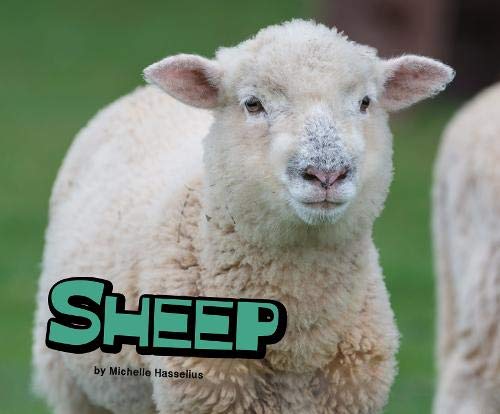 Stock image for Sheep for sale by Better World Books Ltd