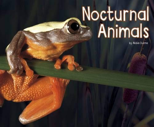 Stock image for Nocturnal Animals (Pebble Plus: Life Science) for sale by WorldofBooks