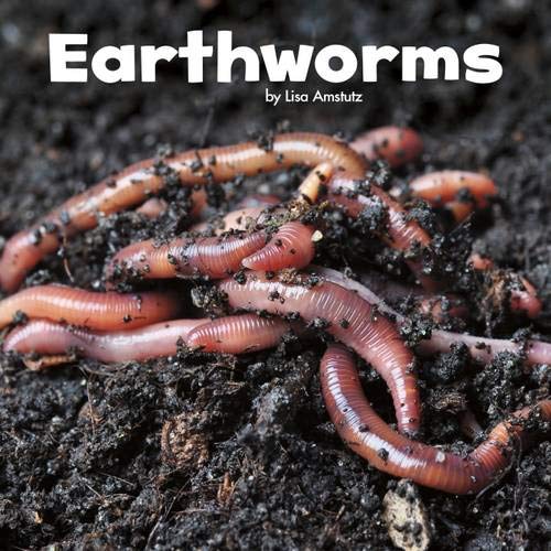 Stock image for Earthworms (Little Pebble: Little Creatures) for sale by PlumCircle