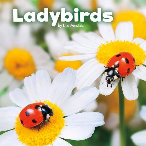 Beispielbild fr Ladybirds (Little Critters) zum Verkauf von WorldofBooks