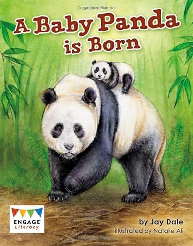 Imagen de archivo de A Baby Panda is Born: Engage Literacy Early Reader following the story of a mother panda and her baby as they search for a safe, new home. (Engage Literacy: Engage Literacy White) a la venta por WorldofBooks