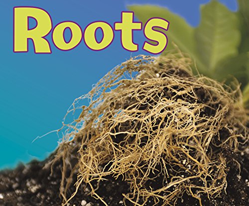 Stock image for Roots (Pebble Plus: Parts of Plants) for sale by WorldofBooks