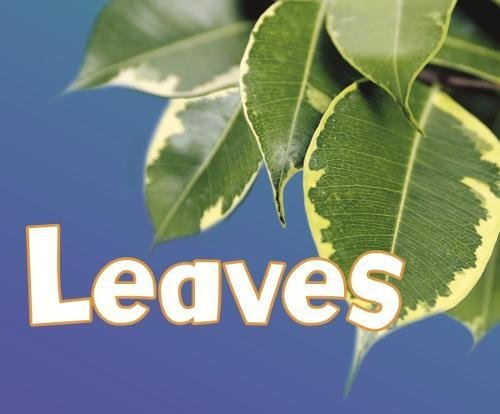 Stock image for Parts of Plants: Leaves for sale by Goldstone Books