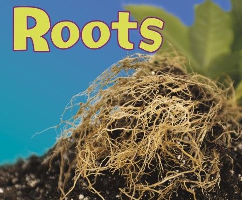 9781474735568: Parts of Plants: Roots