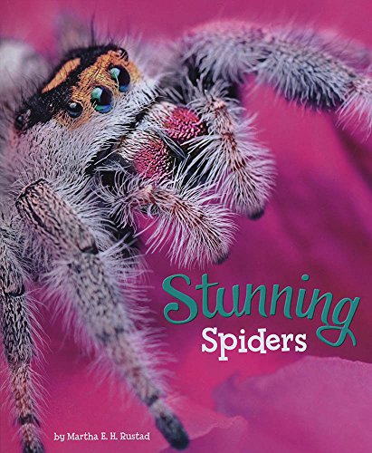 9781474736053: Stunning Spiders (A+ Books: Marvellous Minibeasts!)