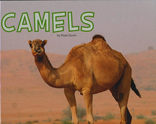 Stock image for Camels for sale by ubucuu