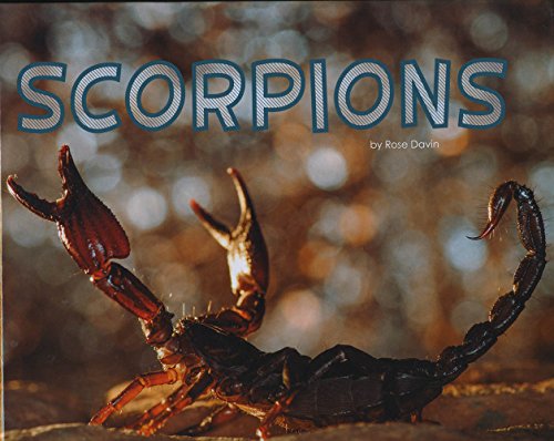 Stock image for Scorpions (Pebble Plus: Meet Desert Animals) for sale by AwesomeBooks