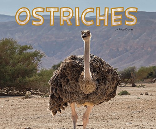 Stock image for Ostriches (Pebble Plus: Meet Desert Animals) for sale by WorldofBooks