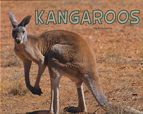 Stock image for Kangaroos (Pebble Plus: Meet Desert Animals) for sale by AwesomeBooks
