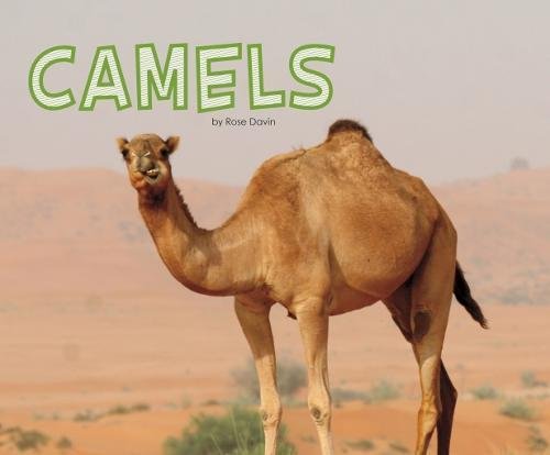 Stock image for Camels for sale by Books Puddle