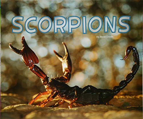 Stock image for Scorpions for sale by Books Puddle