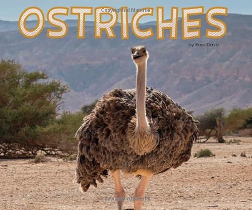 Stock image for Ostriches for sale by Majestic Books