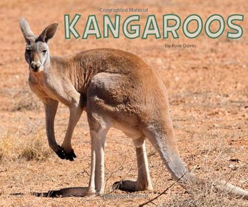 Stock image for Meet Desert Animals: Kangaroos for sale by WorldofBooks