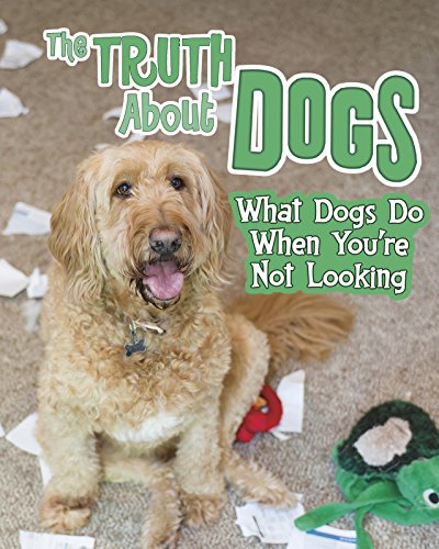 Beispielbild fr Pets Undercover!: The Truth about Dogs: What Dogs Do When You're Not Looking zum Verkauf von WorldofBooks