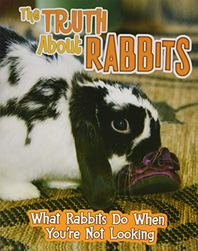 Beispielbild fr Pets Undercover!: The Truth about Rabbits: What Rabbits Do When You're Not Looking zum Verkauf von WorldofBooks