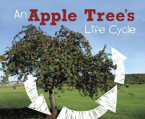 Imagen de archivo de Explore Life Cycles: An Apple Tree's Life Cycle a la venta por WorldofBooks