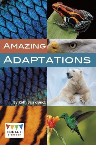 9781474748315: Animal Adaptations (Engage Literacy Brown)