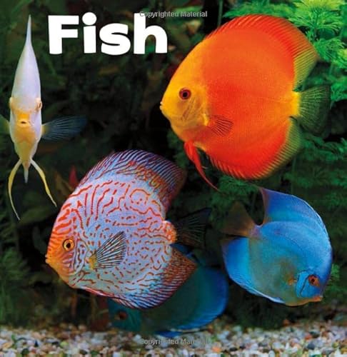 Beispielbild fr Our Pets: Fish zum Verkauf von WorldofBooks