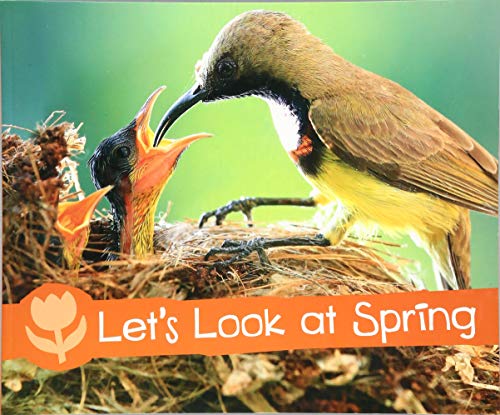 Stock image for Let's Look at Spring (Pebble Plus: Investigate the Seasons) for sale by Chiron Media