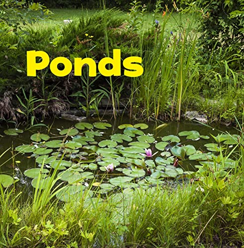 Stock image for Ponds for sale by Blackwell's