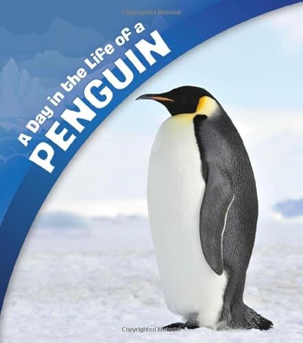Stock image for A Day in the Life of a Penguin for sale by Blackwell's
