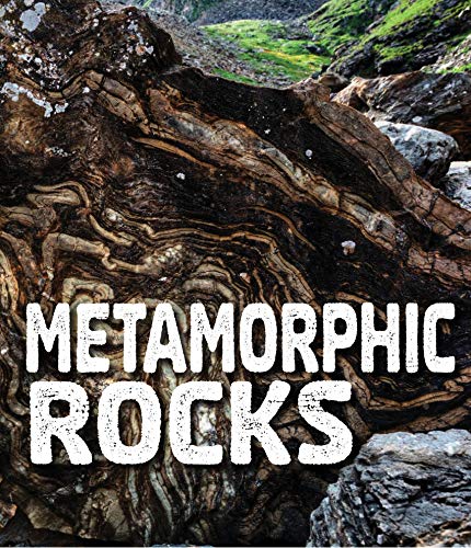 9781474760188: Rocks: Metamorphic Rocks