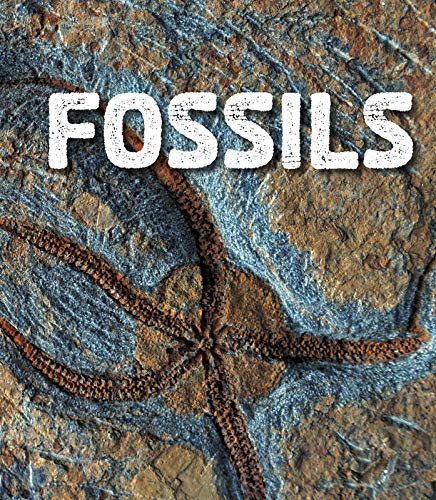 Imagen de archivo de Fossils a la venta por Blackwell's