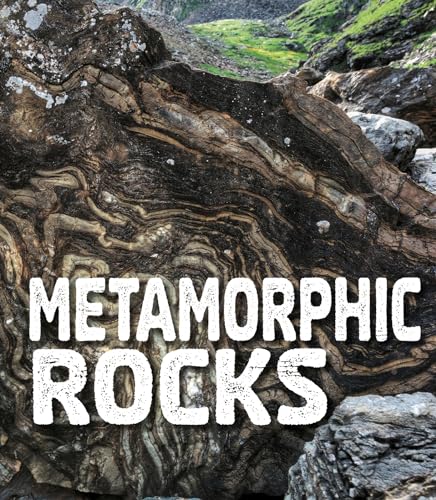 Imagen de archivo de Rocks Metamorphic Rocks a la venta por PBShop.store US