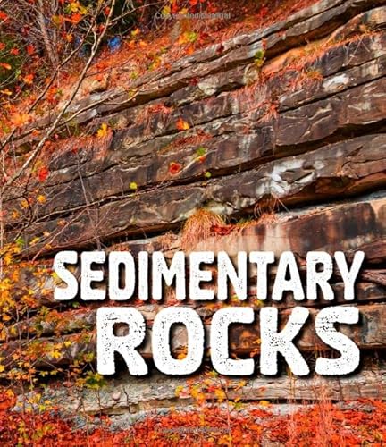 9781474760270: Rocks: Sedimentary Rocks