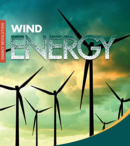 Imagen de archivo de Wind Energy a la venta por Better World Books Ltd