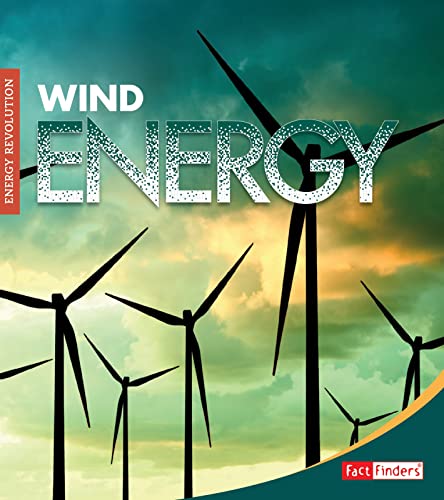 Imagen de archivo de Wind Energy a la venta por Kennys Bookshop and Art Galleries Ltd.