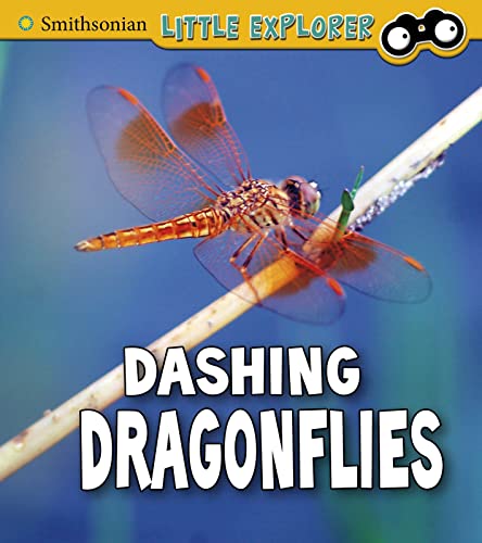 Stock image for Insect Explorer: Dashing Dragonflies for sale by Chiron Media