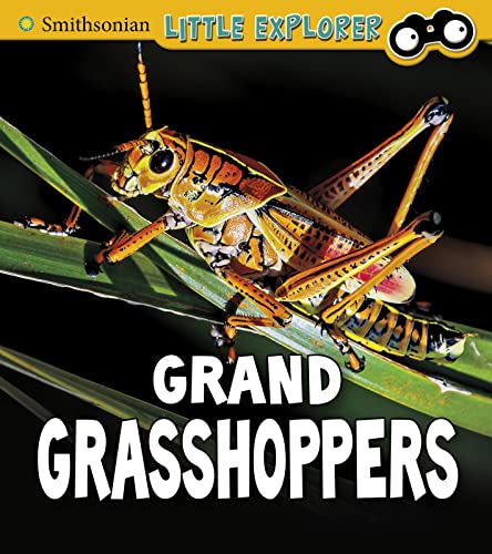 Stock image for Insect Explorer: Grand Grasshoppers for sale by Chiron Media