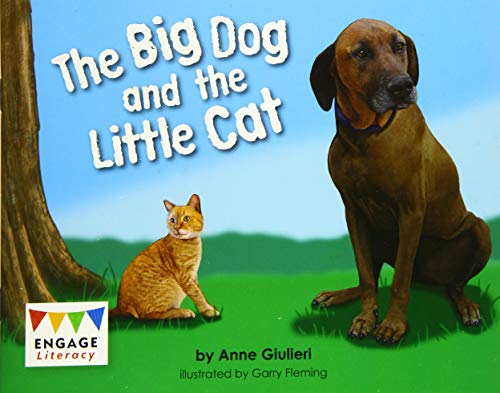 Stock image for The Big Dog and the Little Cat for sale by Blackwell's