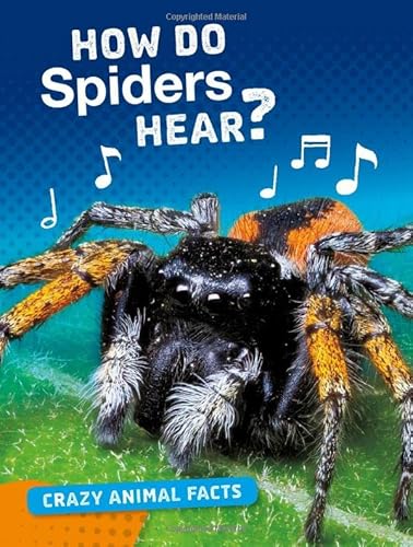 Beispielbild fr How Do Spiders Hear? zum Verkauf von Blackwell's