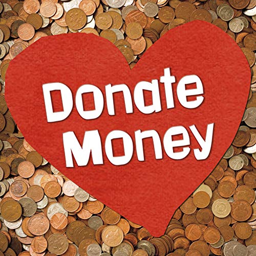 Imagen de archivo de Earn It, Save It, Spend It!: Donate Money a la venta por WorldofBooks