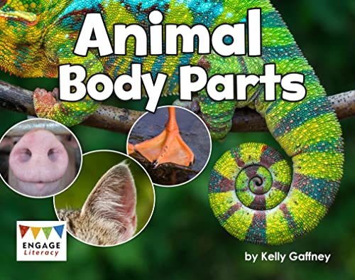 9781474783958: Engage Literacy Blue - Extension B: Animal Body Parts