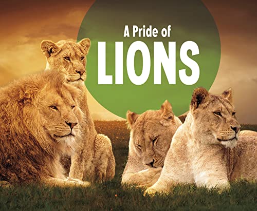 Beispielbild fr A Pride of Lions (Animal Groups) zum Verkauf von AwesomeBooks