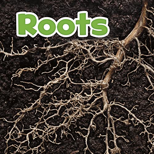 Beispielbild fr Plant Parts: Roots zum Verkauf von Monster Bookshop