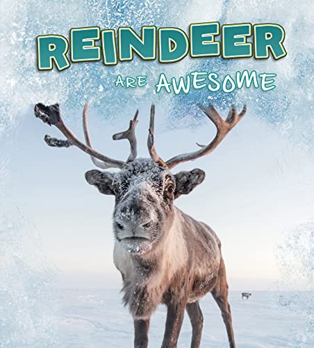 Beispielbild fr Polar Animals: Reindeer Are Awesome zum Verkauf von WorldofBooks