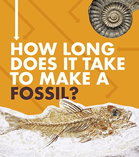 Stock image for How Long Does It Take to Make a Fossil? for sale by MusicMagpie